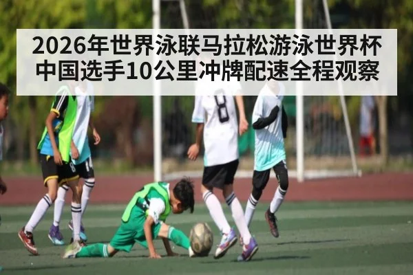 2026年世界泳联马拉松游泳世界杯中国选手10公里冲牌配速全程观察